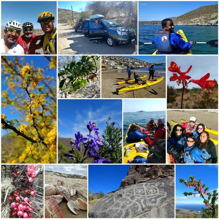 44986415_2470974696276481_1486459258835828736_n